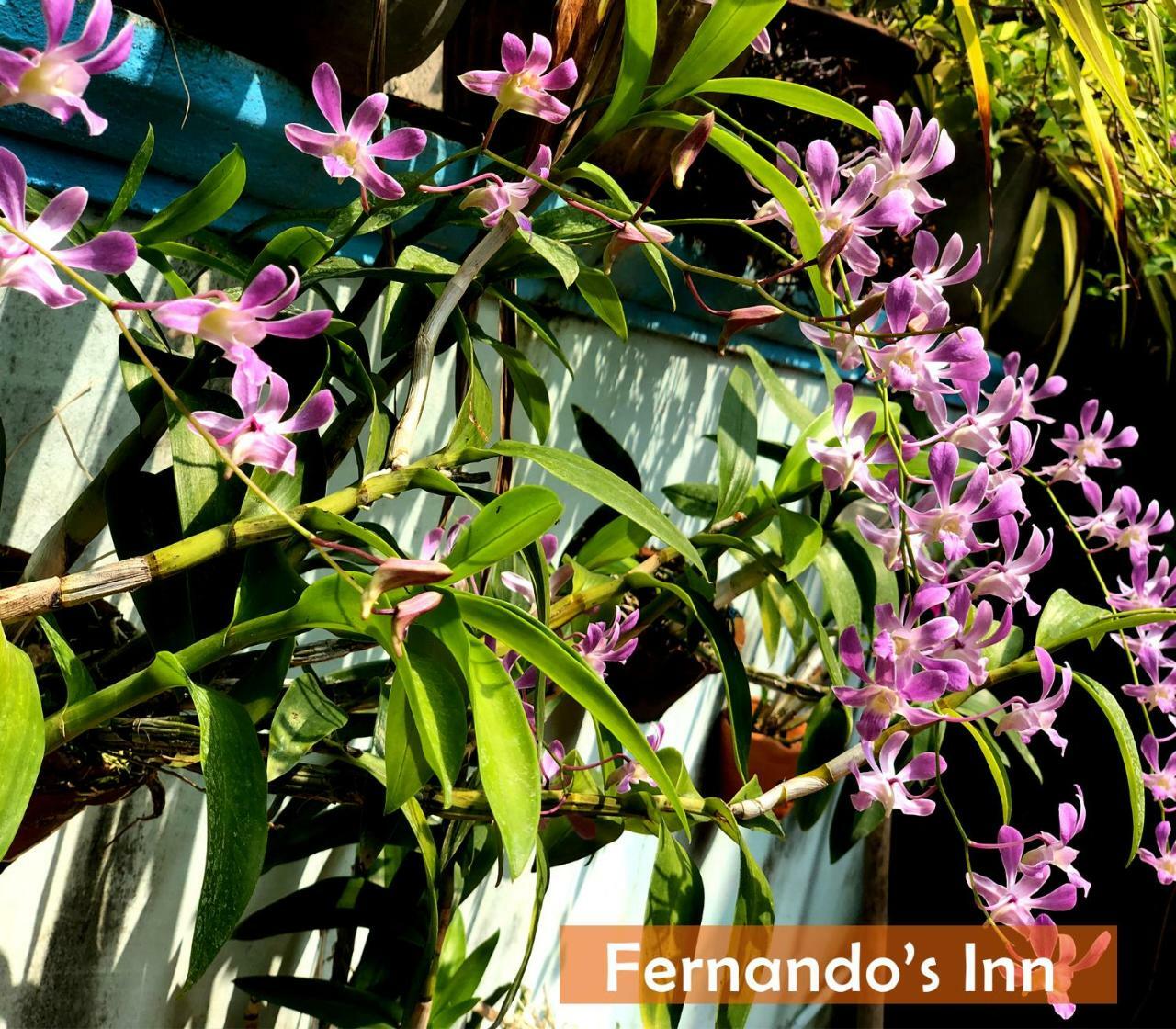 Fernando's Inn Negombo Bagian luar foto